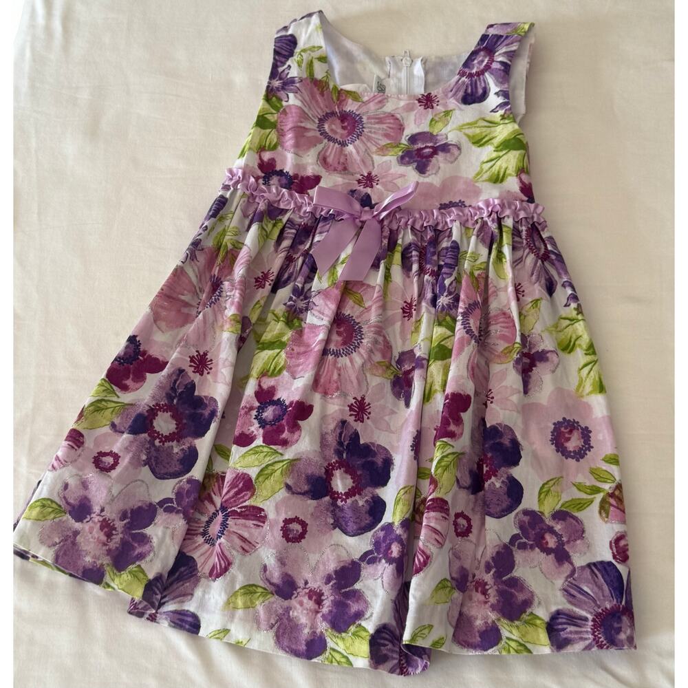 Girls Bonnie Jean Dress Size 2T Pink and Purple Flowers with sparkle accents